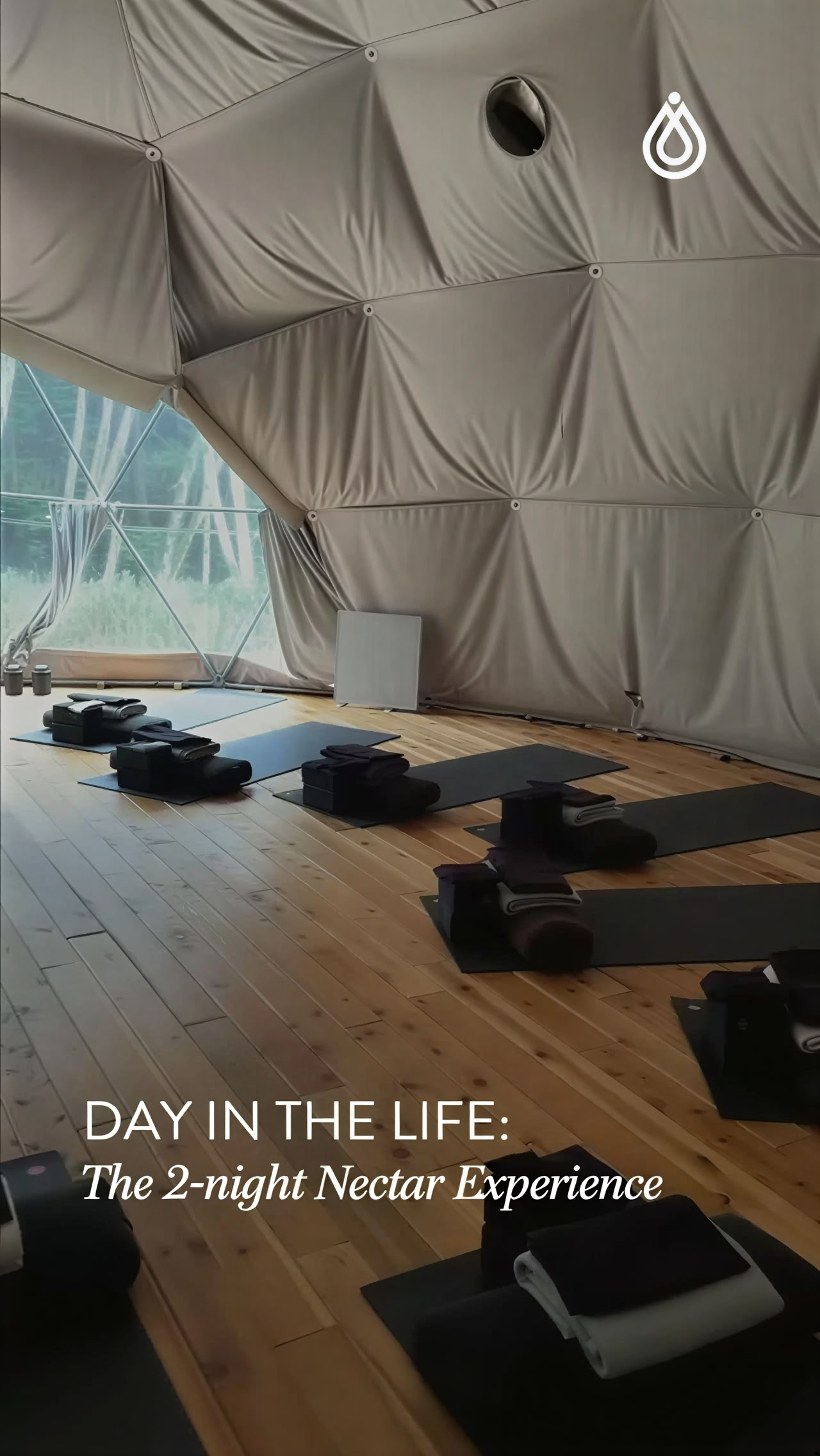 午後のリセット・リトリート with Carolyn Anne Budgell | Nectar Yoga