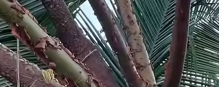 魂の調和リトリート