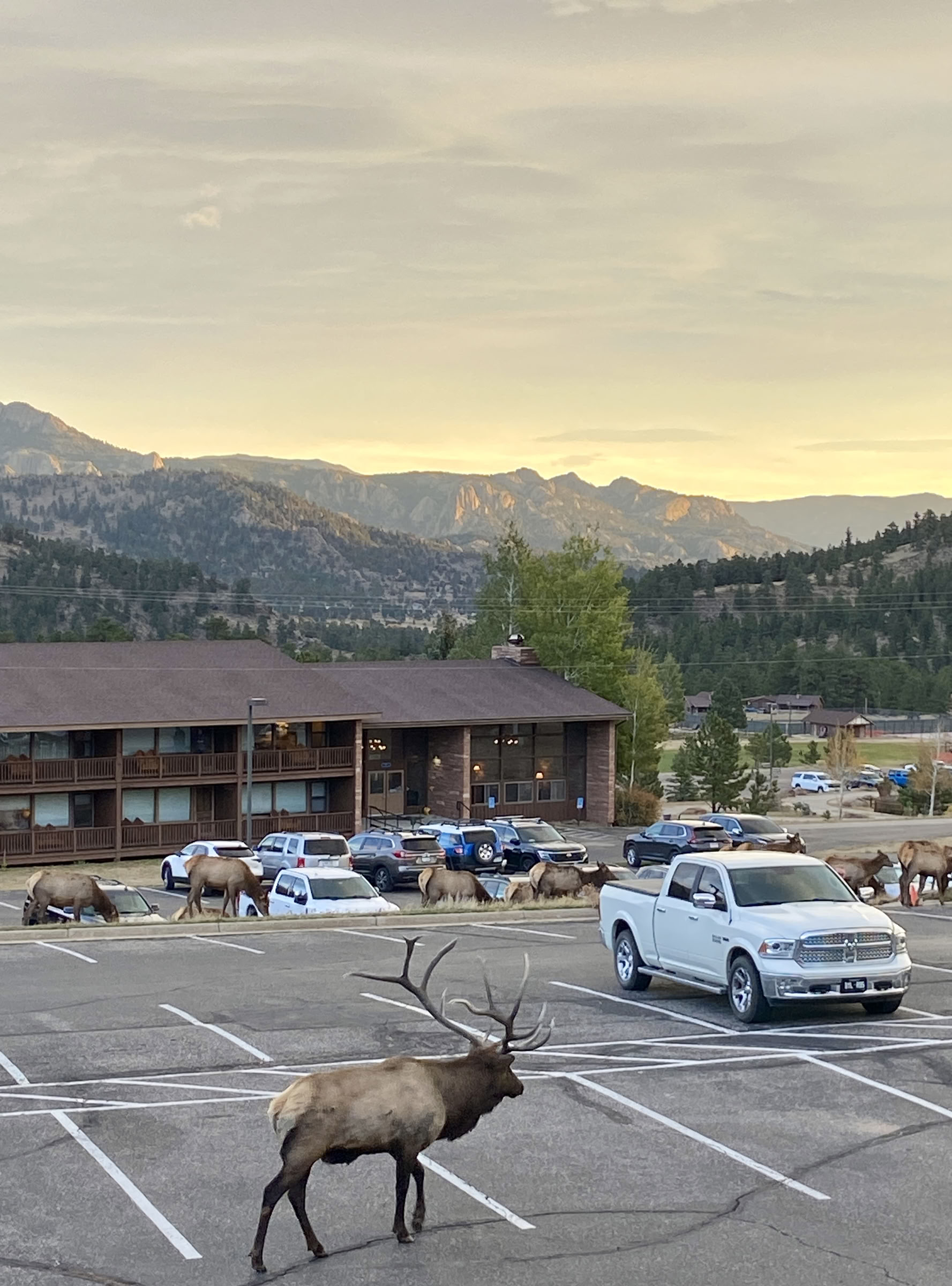 ロッキー山脈リトリート - 5日間