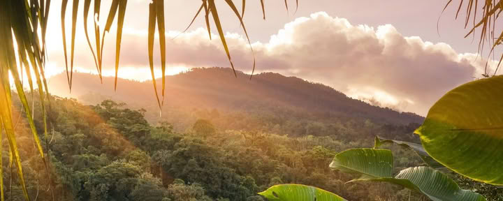カカオセレモニー