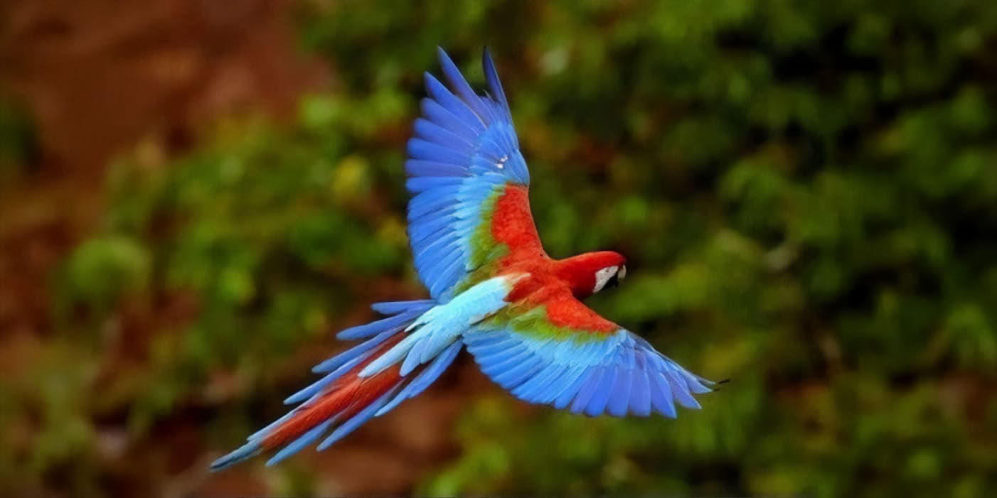Xhaleヨガ＆ピラティス・リトリート