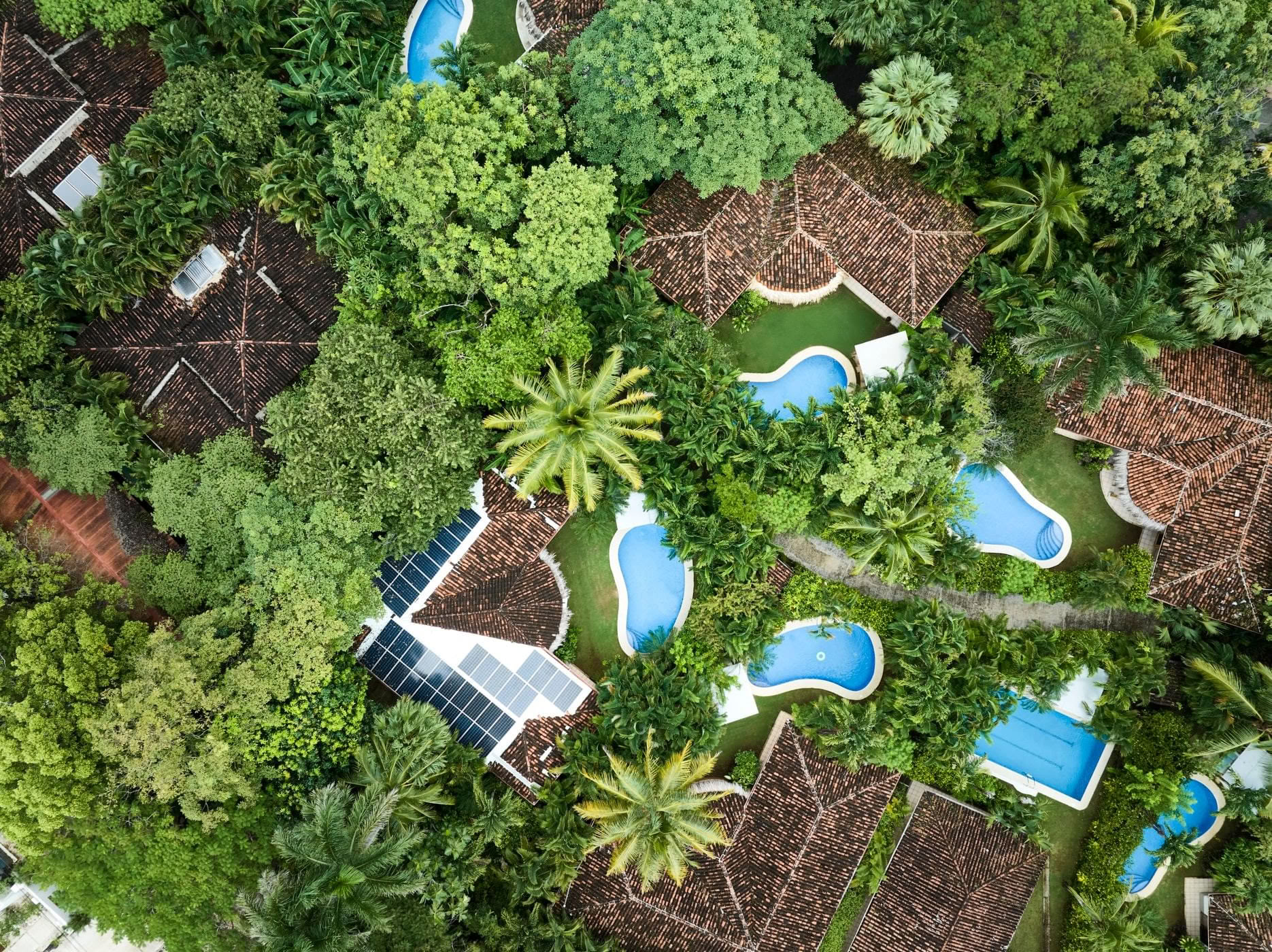 魔法のカカオセレモニー