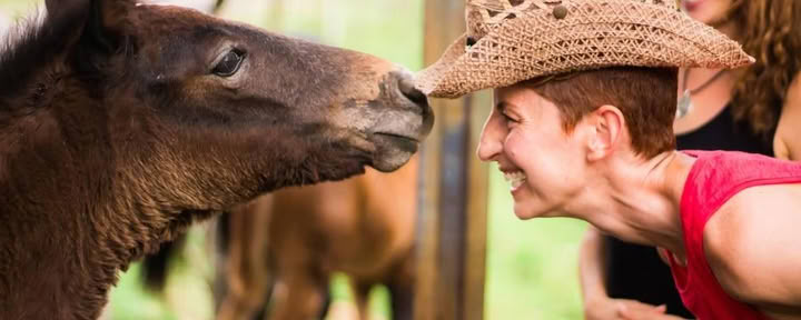 ダニエル・マッキノンと馬と魂