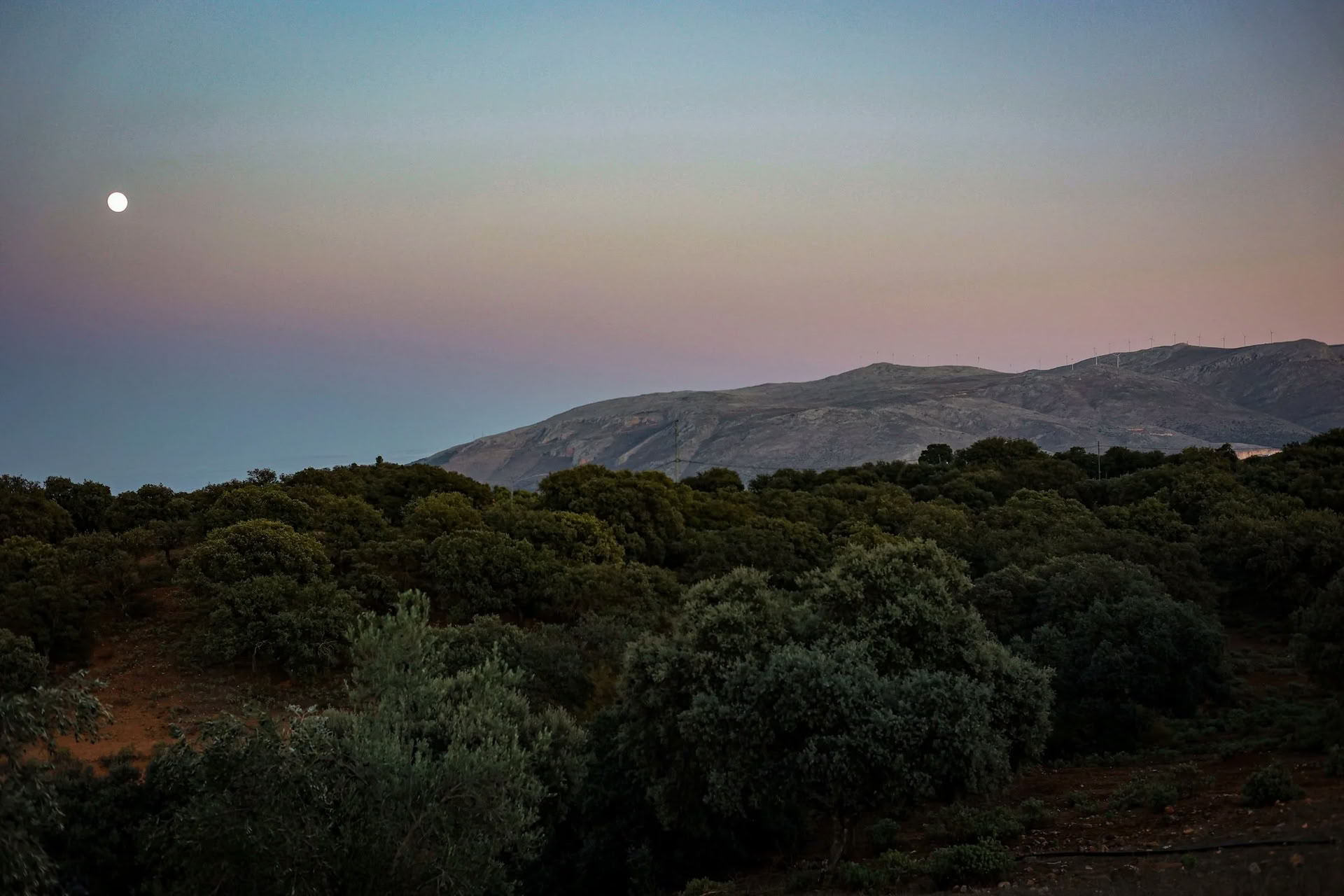 春のアート＆ヨガリトリート