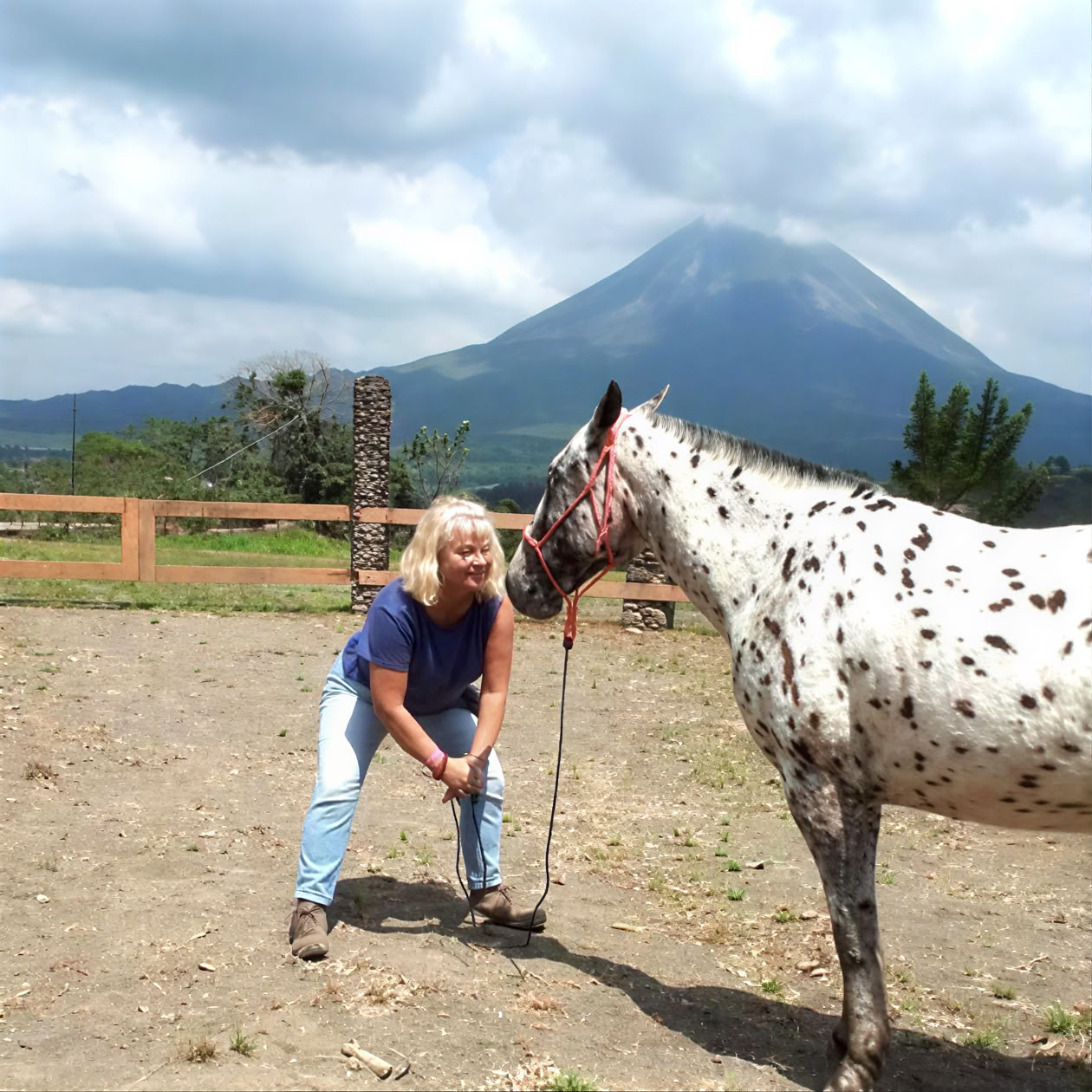 馬とのヨガとヒーリング
