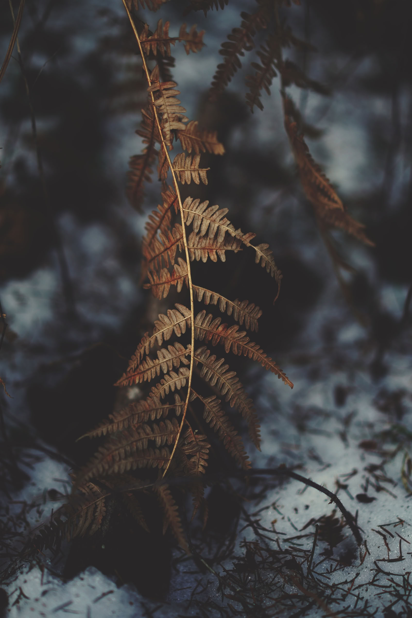 通過儀礼ビジネス