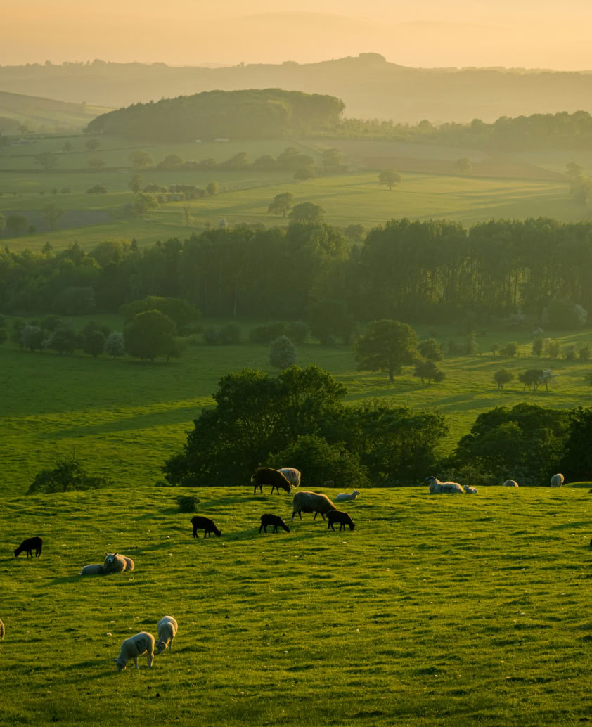 愛の道 UK