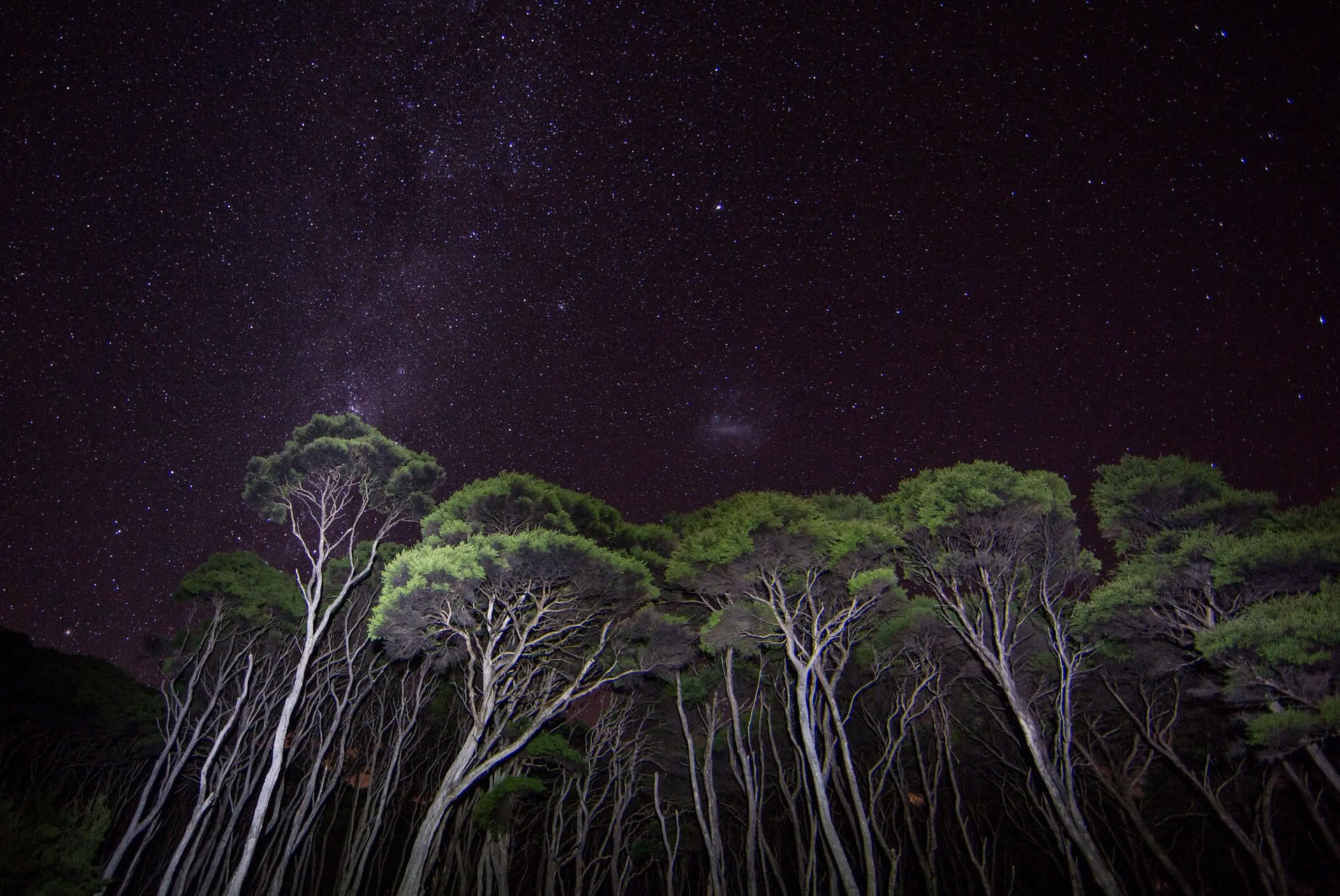 カップル - 育み、つながる