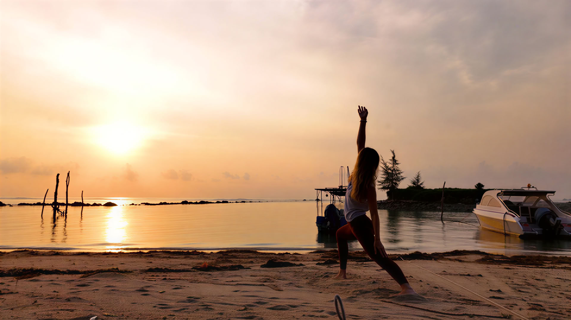 脳の健康向上プログラム