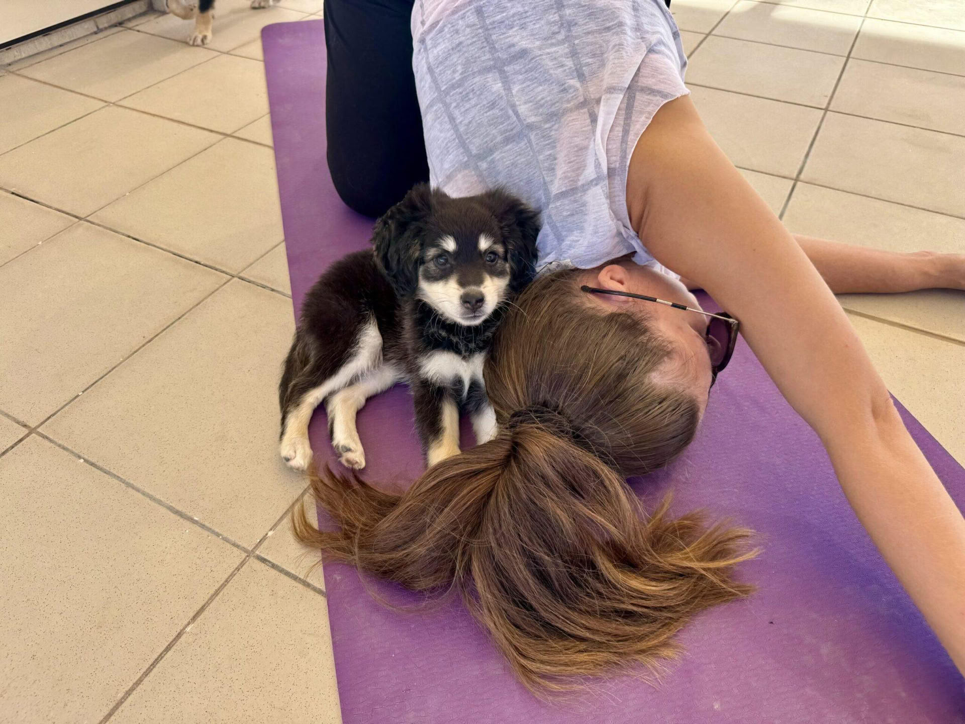 子犬ヨガクラス