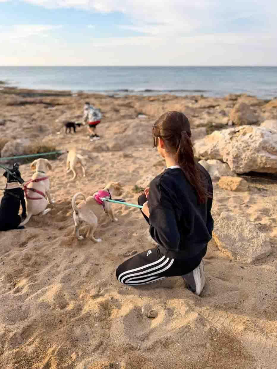 子犬とのビーチウォーク