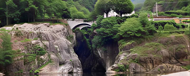 野生の女性の道