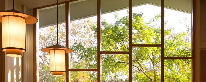 茶