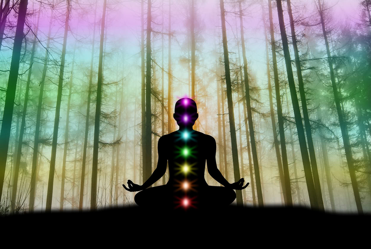 ç¥èãªç·æ§æ§ã®ãã€ãã£ãŒãªããªãŒã