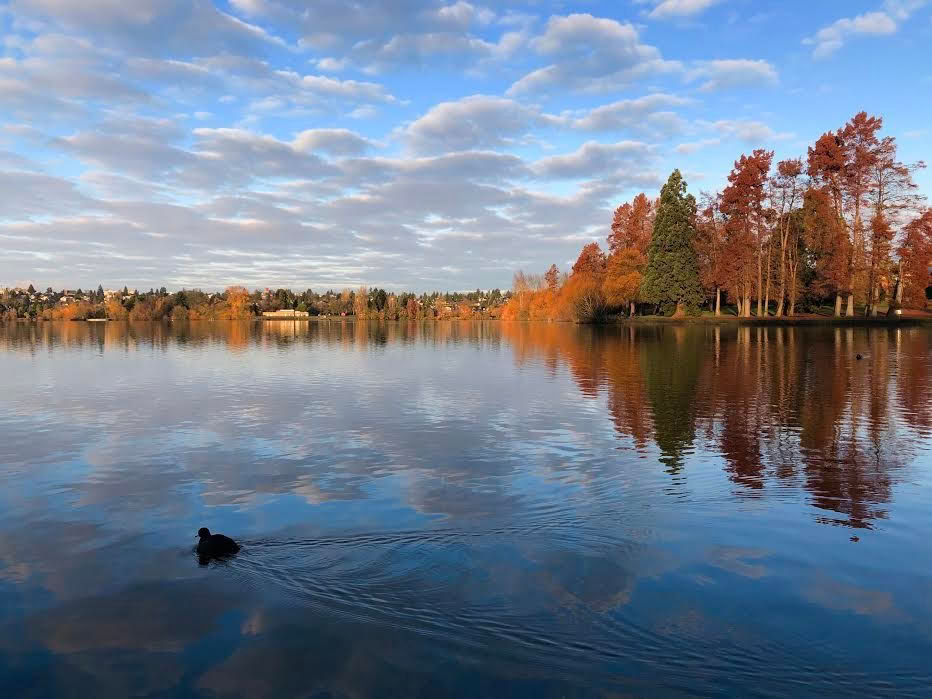 アーユルヴェーダのコミュニティ浄化プログラム