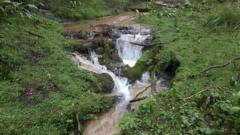 創造的な自分を目覚めさせる - 土曜日の1日リトリート
