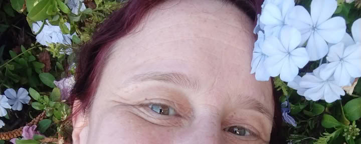 レイキ療法