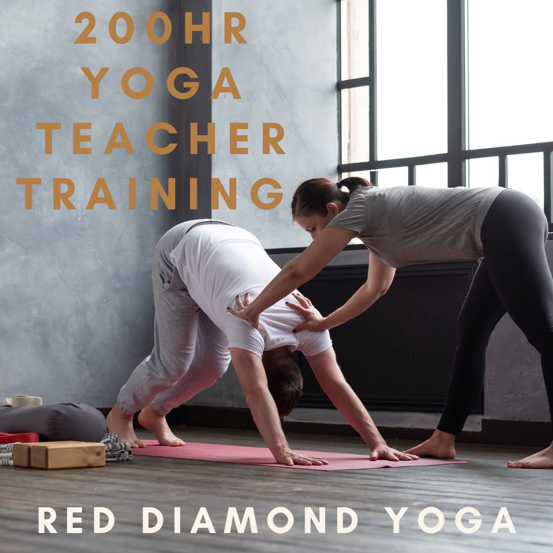 200時間ヴィンヤサ・ティーチャートレーニング、Yoga Alliance認定