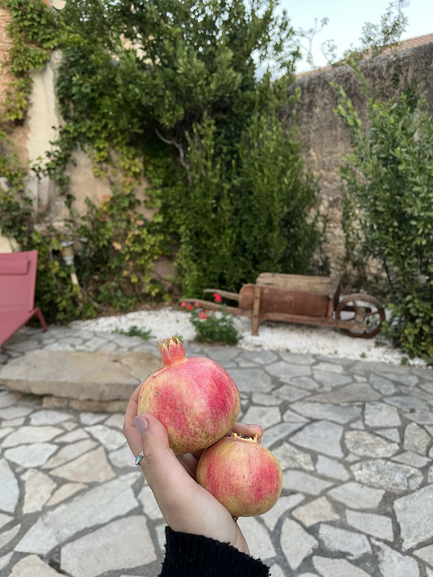 内なる輝きを再び灯す：南フランスのヨガ＆瞑想リトリート