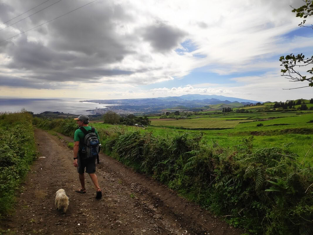マイ・ミヌビダ・プログラム