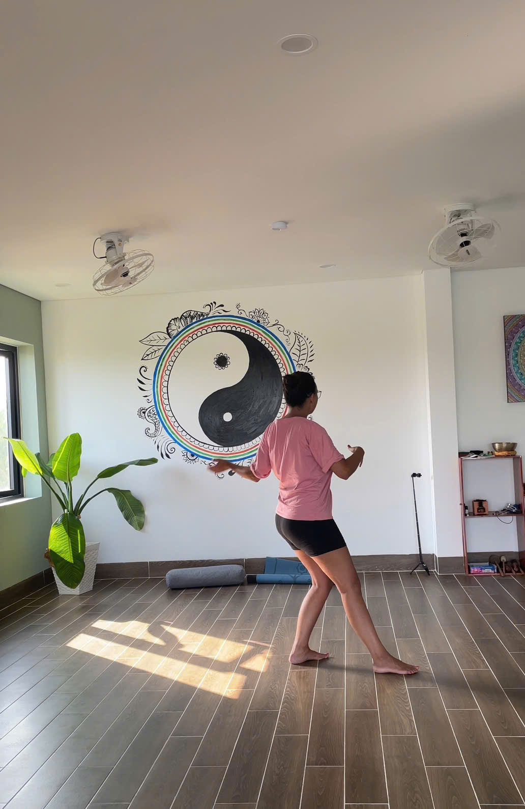 太極拳クラス