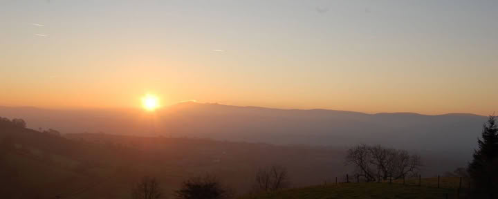 音を奏で、調和を見出す