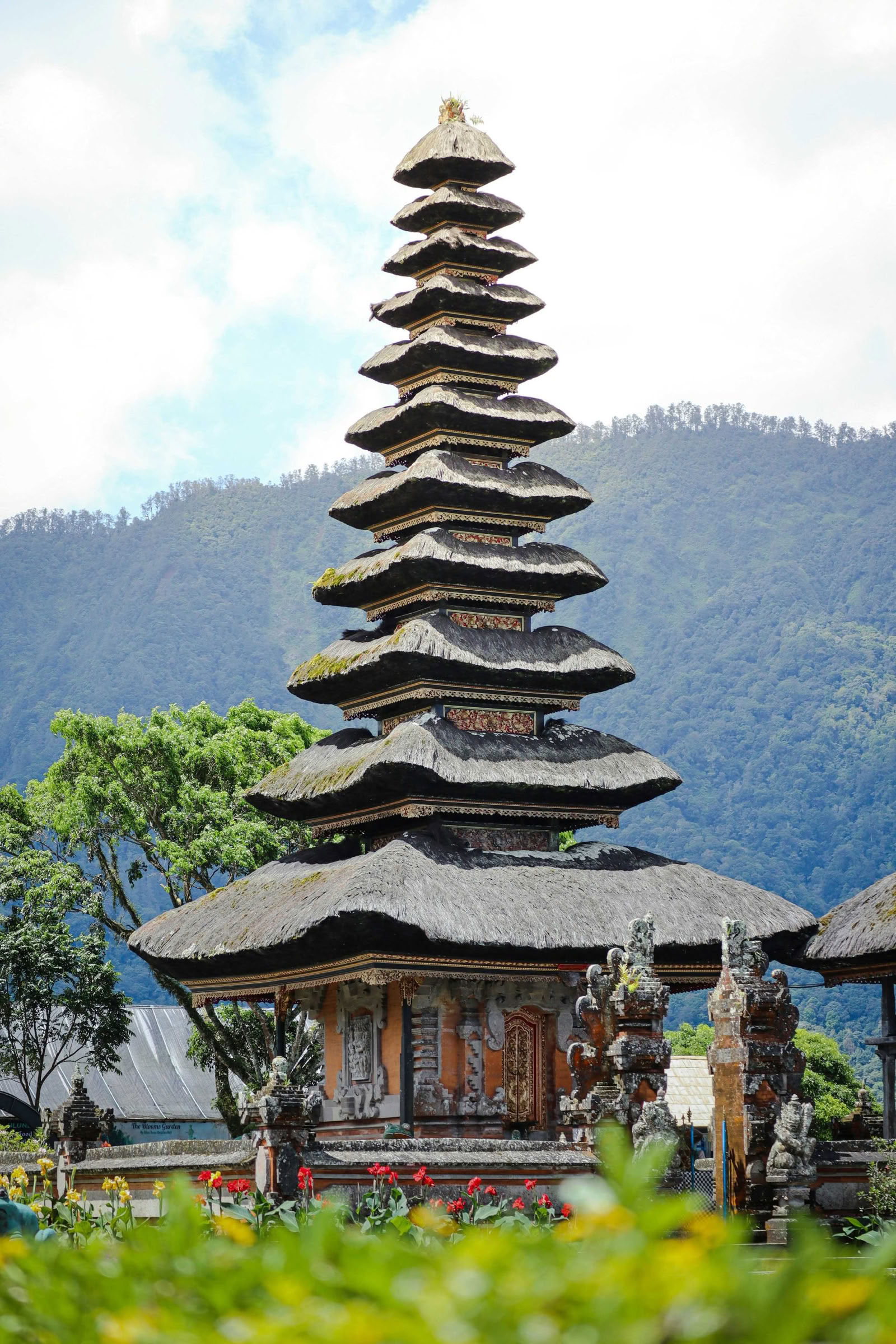 バリの田園地帯を探索する