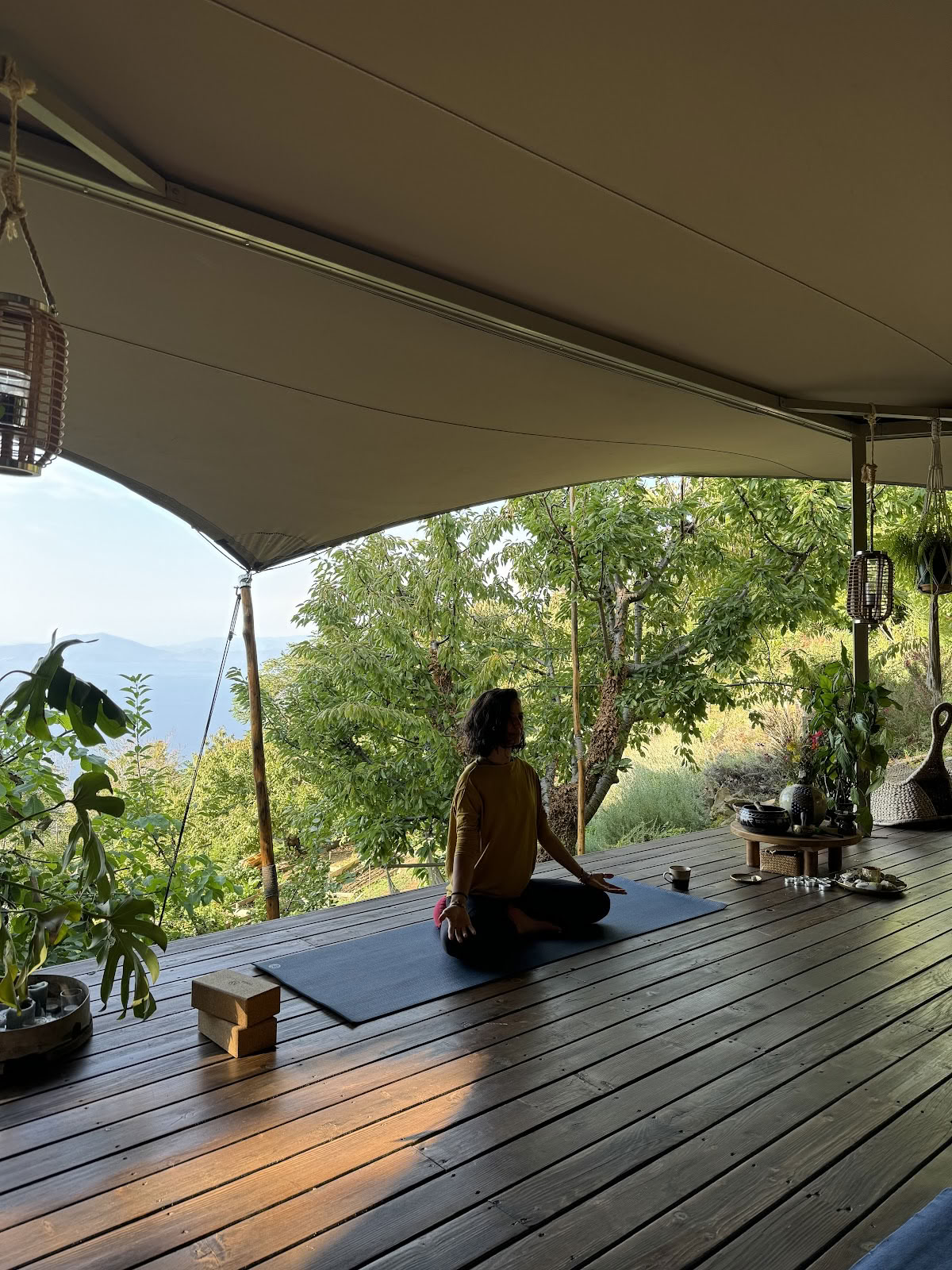 PELION HOMESïœãªããªãŒãã»ã³ã¿ãŒ - èªç¶ã«åºã¥ã没å
¥åã®ã¹ããŒããŒã¹äœéš