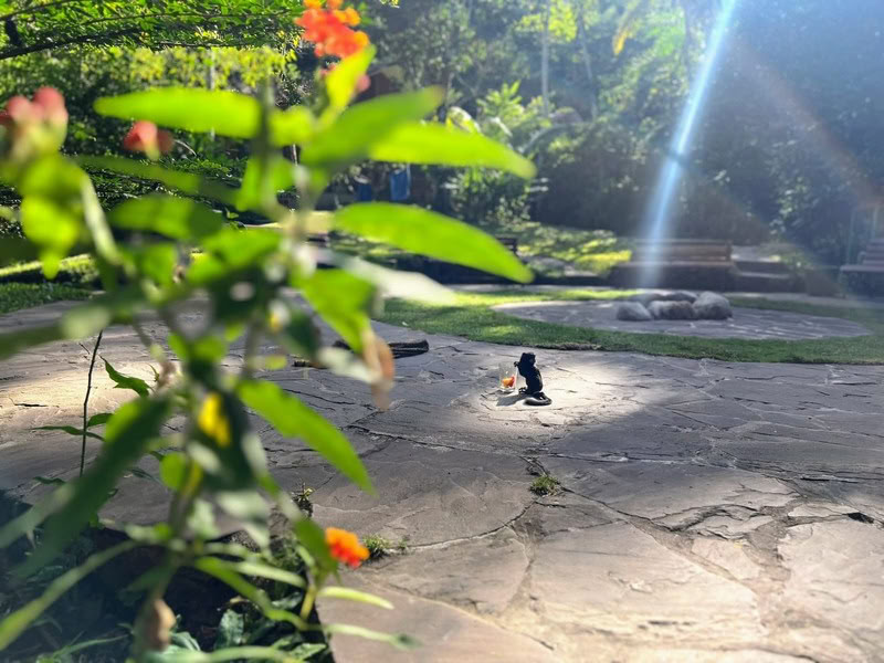ラ・メディシーナ