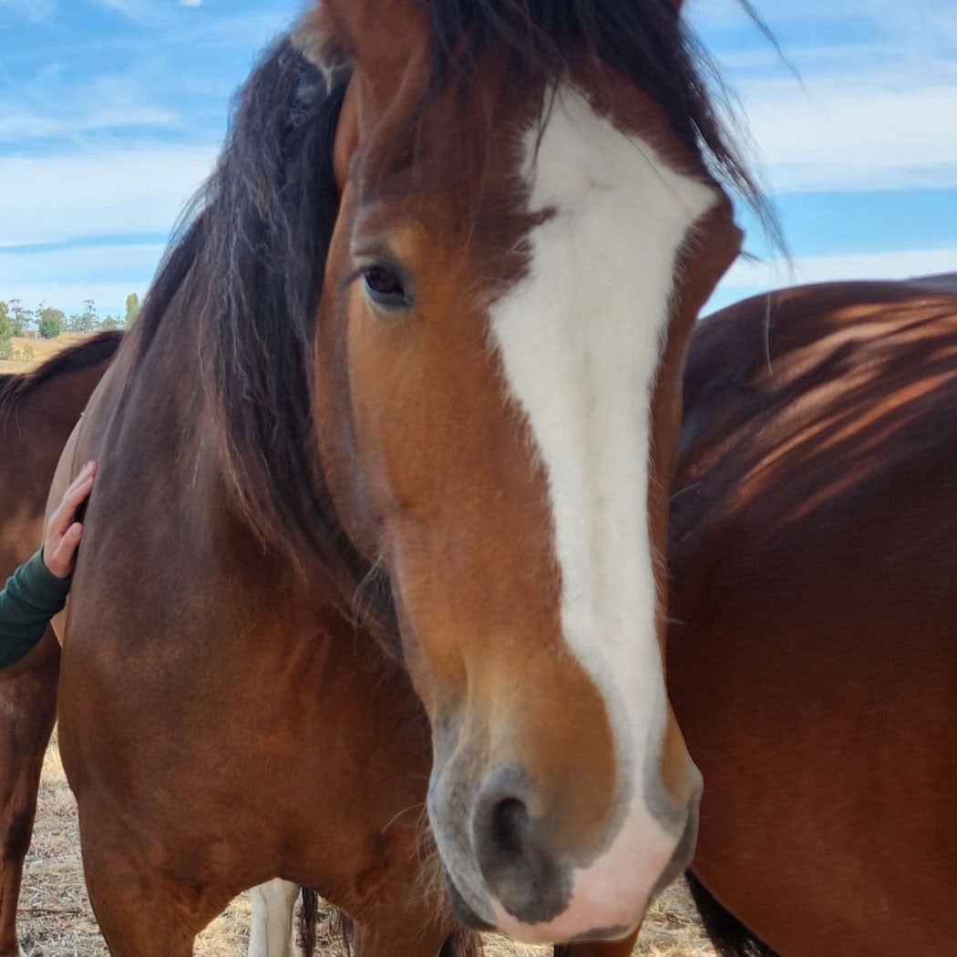 銬ã®å¿ â 銬ãšãšãã«äººã
ã®çããå©ãã