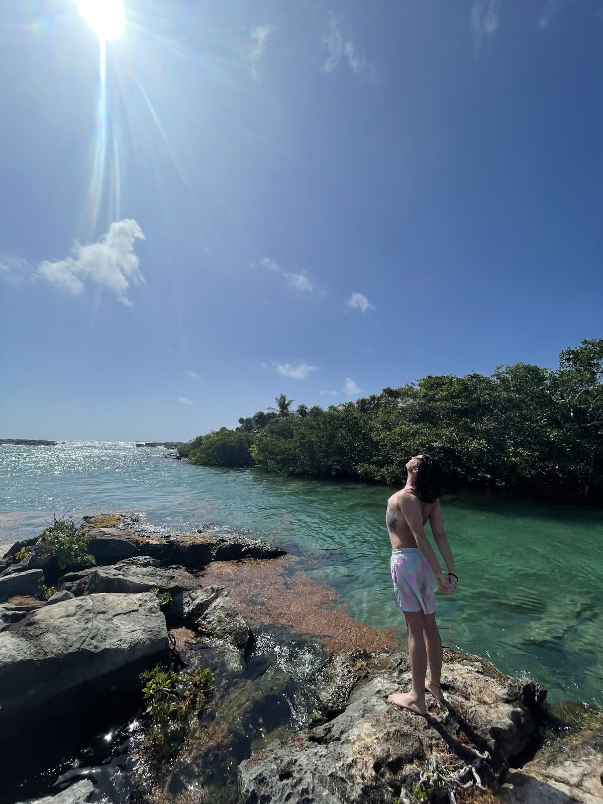 Mi Vida Yoga Retreats ãã¥ã«ã ïŒãªãã£ã¹ïŒ