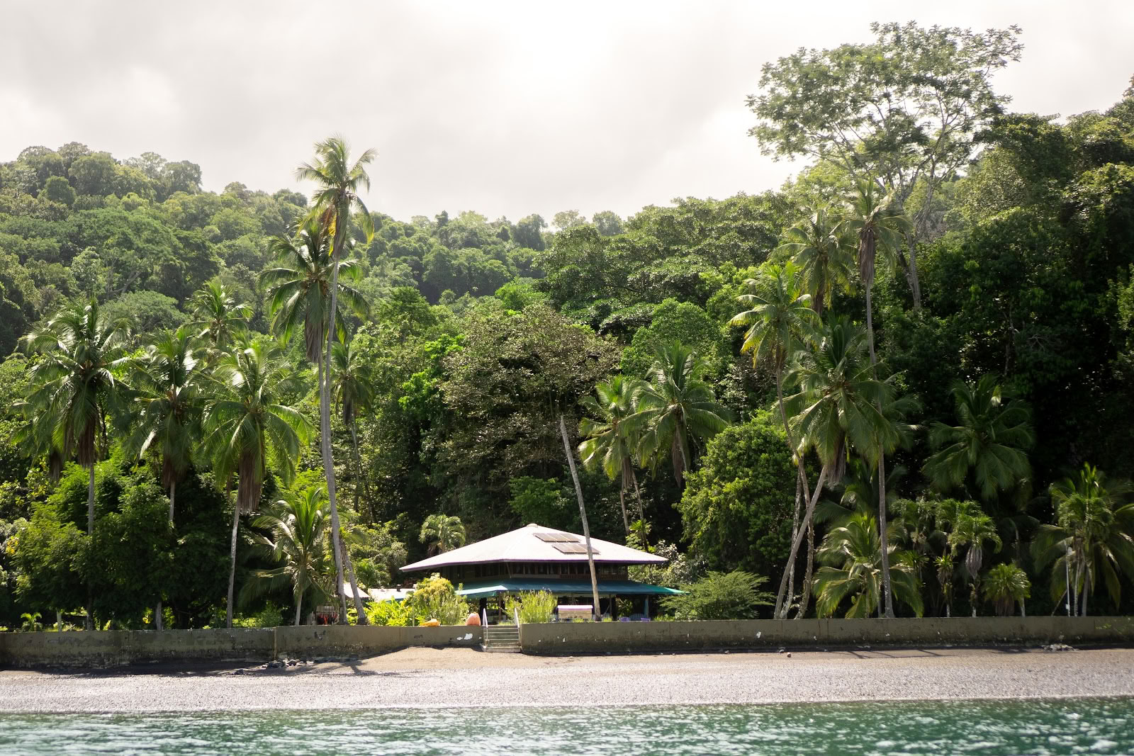 Pandorita Costa Rica - ã¢ã€ã¯ã¹ã«ã»ã¯ãŒã¯ã·ã§ãã