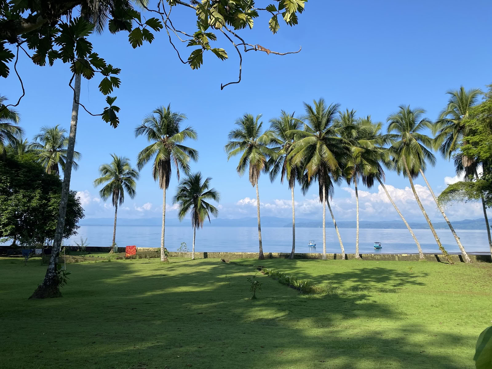 Pandorita Costa Rica - ã¢ã€ã¯ã¹ã«ã»ã¯ãŒã¯ã·ã§ãã