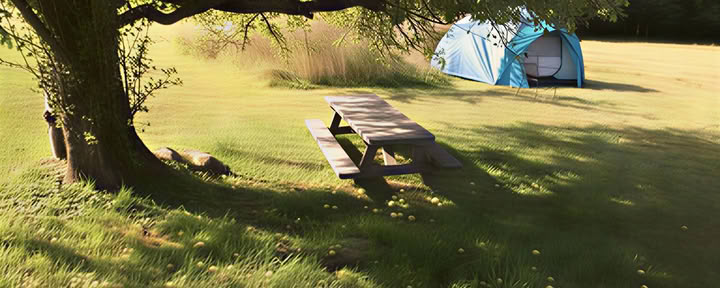 Camping/Tent or Vehicle