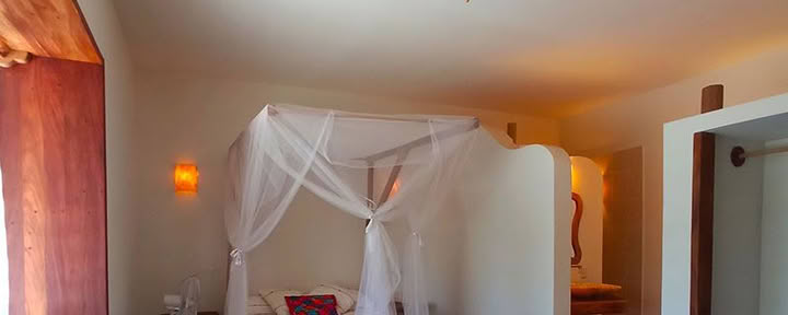 Room Coral