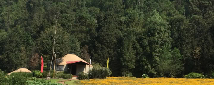 ユルトのドミトリー