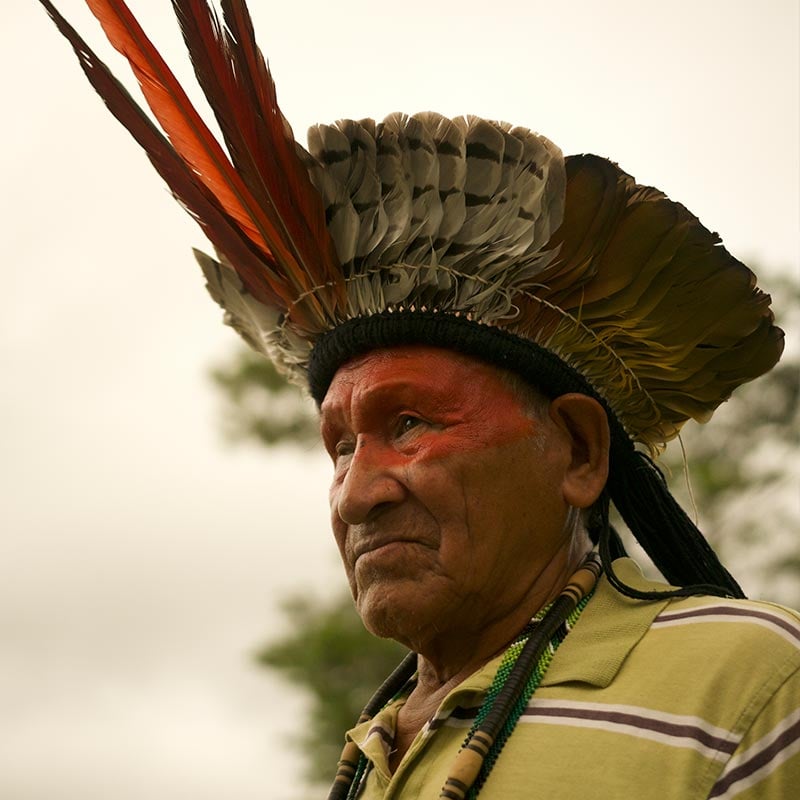 VovÎ Tema João