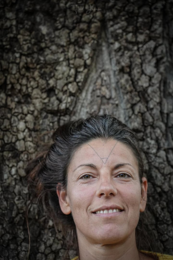 Petra Tarnai